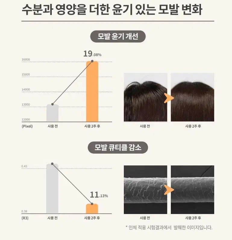 인셀덤 보타랩 데저티콜라 헤어케어 세트 (샴푸+트리트먼트)